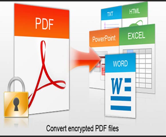 pdf-data-entry-services